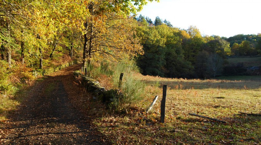 Les chemins de la vie